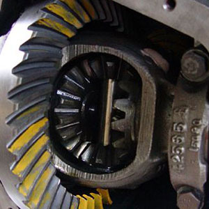 View Newark & Middletown Auto Coupon12